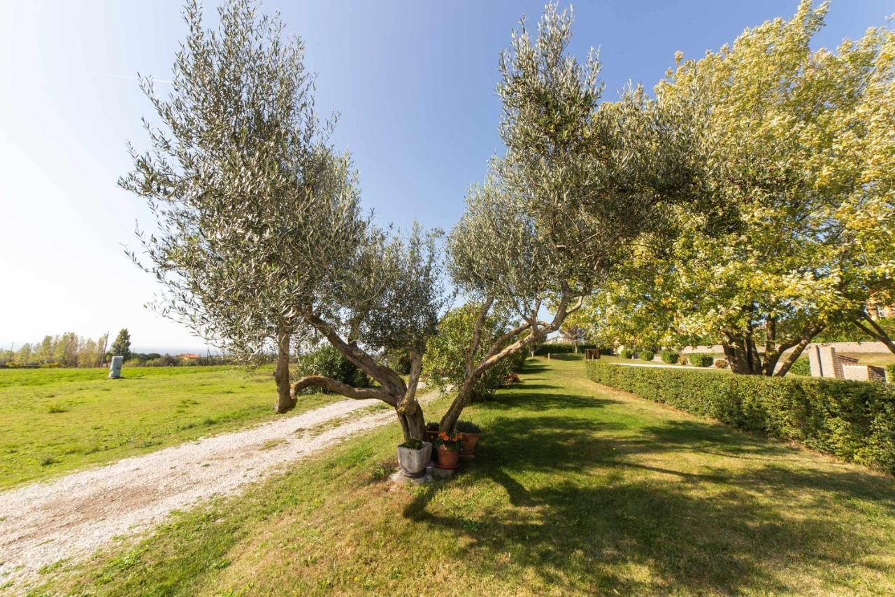 מונטפיאסקונה Agriturismo Bella Cima מראה חיצוני תמונה