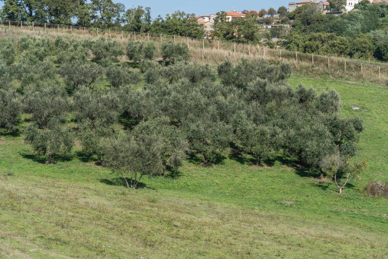 מונטפיאסקונה Agriturismo Bella Cima מראה חיצוני תמונה